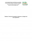 Técnicas de semeadura, isolamento e contagem dos micro-organismos.