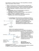 Adrenal Fisiológica