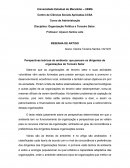 Perspectivas teóricas do ambiente: que pensam os dirigentes de organizações do Terceiro Setor