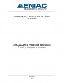 ADMINISTRAÇÃO – ORGANIZAÇÃO E PROCESSOS GERENCIAIS ORGANIZAÇÃO E PROCESSOS GERENCIAIS