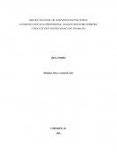 Relatório Técnico em Segurança do Trabalho