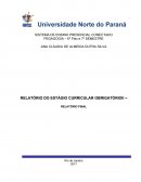 RELATÓRIO DO ESTÁGIO CURRICULAR OBRIGATÓRIO II – ANOS INICIAIS DO ENSINO FUNDAMENTAL