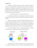 Atkins - Princípio de Química