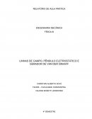 LINHAS DE CAMPO, PÊNDULO ELETROSTÁTICO E GERADOR DE VAN DER GRAAFF
