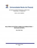 RELATÓRIO DO ESTÁGIO CURRICULAR OBRIGATÓRIO I – EDUCAÇÃO INFANTIL