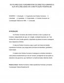 OS PILARES QUE FUNDAMENTAM OS DIREITOS HUMANOS E SUA APLICABILIDADE NA CONSTITUIÇÃO FEDERAL/88.