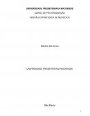 Avaliação da orientação para o mercado segundo Hooley, Saunders e Piercy referente à empresa Cosentino.