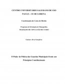 O poder de polícia das guarda municipais frente os princípios constitucionais