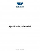 Qualidade Industrial