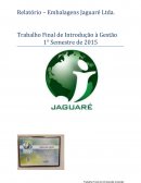 Relatório Embalagens Jaguaré