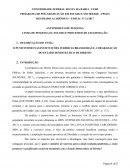 O PUNITIVISMO NAS INSTITUIÇÕES JURÍDICAS BRASILEIRAS E A DEGRADAÇÃO DO ESTADO DEMOCRÁTICO DE DIREITO