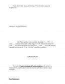 Exmo. Sr(a). Dr(a). Juiz(a) de Direito da 1ª Vara Cível da Comarca de Anápolis/GO