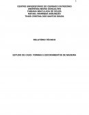 RELATÓRIO DE ESTUDO DE CASO DE FORMAS E ESCORAMENTOS DE MADEIRA