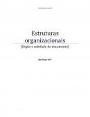 AS ESTRUTURAS ORGANIZACIONAIS