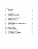 DIMENSIONAMENTO Á SITUAÇÕES TRANSITÓRIAS      