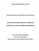 AVALIAÇÃO DA PREVALÊNCIA DE CÁRIES NO MUNICÍPIO DE LAGOA GRANDE DO MARANHÃO.