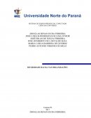 DIVERSIDADE RACIAL NAS ORGANIZAÇÕES