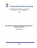 RELATÓRIO DO ESTÁGIO CURRICULAR OBRIGATÓRIO I – EDUCAÇÃO INFANTIL RELATÓRIO FINAL