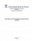 RELATÓRIO DO ESTÁGIO CURRICULAR OBRIGATÓRIO III - GESTÃO