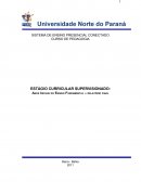 ESTÁGIO CURRICULAR SUPERVISIONADO: Anos Iniciais do Ensino Fundamental – relatório final