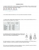 ATIVIDADES 3 FÍSICA III .