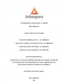 A ESTRUTURA E ANÁLISE DAS DEMONSTRAÇÕES CONTÁBEIS, ANÁLISE DE INVESTIMENTOS, CONTABILIDADE DE CUSTOS, ADMINISTRAÇÃO FINANCEIRA E DESENVOLVIMENTO ECONÔMICO