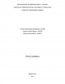 A DETERMINAÇÃO DA MASSA MOLECULAR DE UM GÁS, E DETERMINAÇÃO DO TEOR DE CARBONATO NUMA AMOSTRA