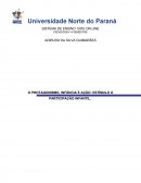 O PROTAGONISMO, INFÂNCIA E AÇÃO: ESTÍMULO À PARTICIPAÇÃO INFANTIL .