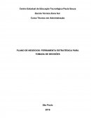 PLANO DE NEGÓCIOS: FERRAMENTA ESTRATÉGICA PARA TOMADA DE DECISÕES