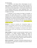 A Hanseníase é uma doença crônica, infectocontagiosa, da qual o agente etiológico é o Mycobacterium leprae