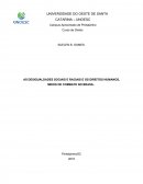 AS DESIGUALDADES SOCIAIS E RACIAIS E OS DIREITOS HUMANOS, MEIOS DE COMBATE NO BRASIL.