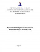 Aspectos odontolegais das lesões buco-maxilo-faciais por arma branca