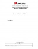 Trabalho de finanças corporativas Plano de Negócio