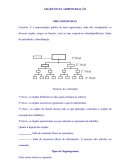 Os Gráficos da Administração