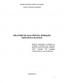 RELATÓRIO DE AULA PRÁTICA : SENSAÇÃO GUSTATIVA E OLFATIVA