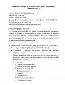 O PROCESSO DE TRABALHO – DADOS RELATIVOS AO LOCAL DE ESTÁGIO