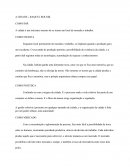 A CIDADE – RAQUEL ROLNIK