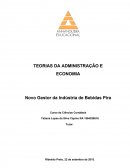 A TEORIAS DA ADMINISTRAÇÃO E ECONOMIA