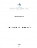 O Desenvolvedor Mobile