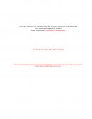 As Técnicas de Marketing aplicadas no atendimento ao consumidor na cidade de Castilho no setor varejista no ano de 2011