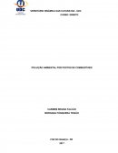 A POLUIÇÃO AMBIENTAL POR POSTOS DE COMBUSTÍVEIS