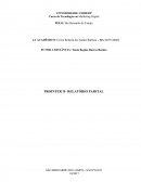 Prointer II - Relatório Parcial Mkt Digital