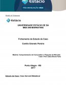 O Comportamento do Consumidor e Pesquisa de Mercado