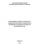 O PROTECIONISMO DO DIREITO DO TRABALHO E A FLEXIBILIZAÇÃO DOS DIREITOS TRABALHISTAS: A NECESSIDADE DA ADEQUAÇÃO DO DIREITO NA SOCIOECONOMIA ATUAL