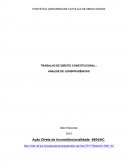 TRABALHO DE DIREITO CONSTITUCIONAL : ANÁLISE DE JURISPRUDÊNCIAS