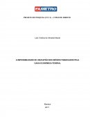 A IMPOSSIBILIDADE DE USUCAPIÃO NOS IMÓVEIS FINANCIADOS PELA CAIXA ECONÔMICA FEDERAL