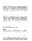 A INFRAESTRUTURA DE ARMAZENAMENTO DE GRÃOS (SOJA E MILHO) DO MUNICÍPIO DE SINOP/MT