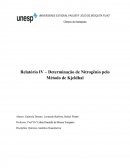Relatório IV – Determinação de Nitrogênio pelo Método de Kjeldhal