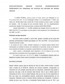 EXCELENTÍSSIMO SENHOR DOUTOR DESEMBARGADOR PRESIDENTE DO TRIBUNAL DE JUSTIÇA DO ESTADO DE MINAS GERAIS