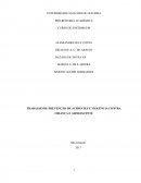 A PREVENÇÃO DE ACIDENTES E VIOLÊNCIA CONTRA CRIANÇA E ADOLESCENTE